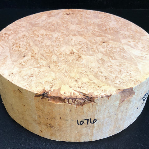 10"x3" KD Maple Burl Wood Bowl Turning Blank (#00676)