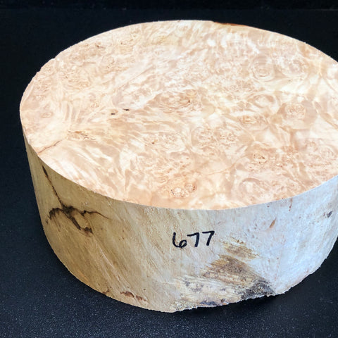 9x3.5 KD Maple Burl Wood Bowl Turning Blank (#00677)