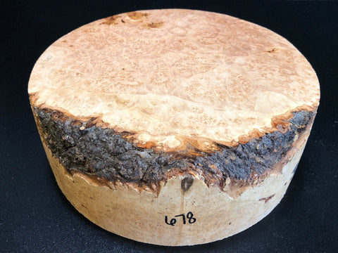 9x3.5 KD Maple Burl Wood Bowl Turning Blank (#00678)