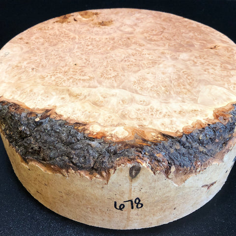 9x3.5 KD Maple Burl Wood Bowl Turning Blank (#00678)