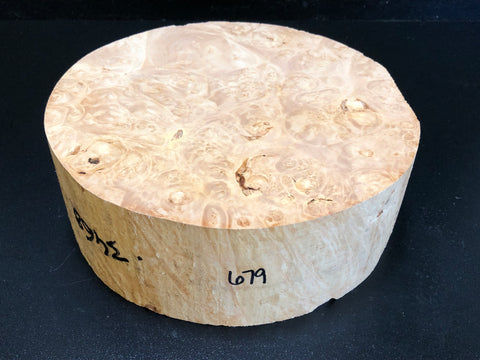 9x3.5 KD Maple Burl Wood Bowl Turning Blank (#00679)