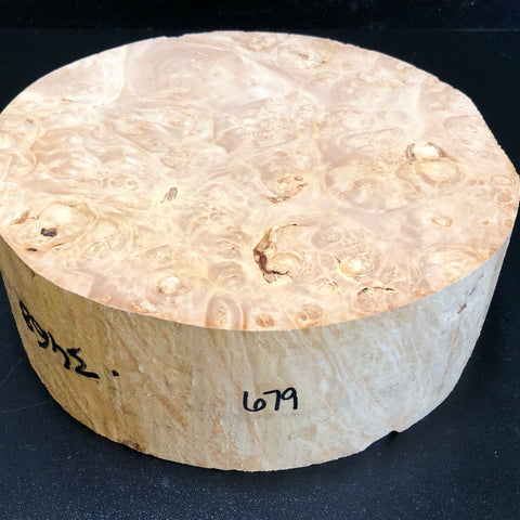 9x3.5 KD Maple Burl Wood Bowl Turning Blank (#00679)