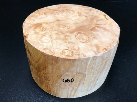7x4.5 KD Maple Burl Wood Bowl Turning Blank (#00680)