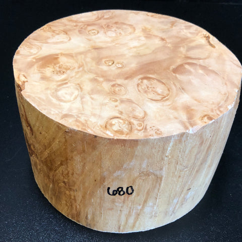7x4.5 KD Maple Burl Wood Bowl Turning Blank (#00680)