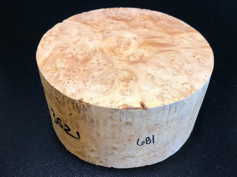 7x3.5 KD Maple Burl Wood Bowl Turning Blank (#00681)