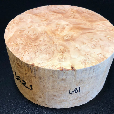 7x3.5 KD Maple Burl Wood Bowl Turning Blank (#00681)