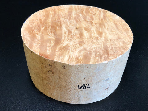 7x3.5 KD Maple Burl Wood Bowl Turning Blank (#00682)