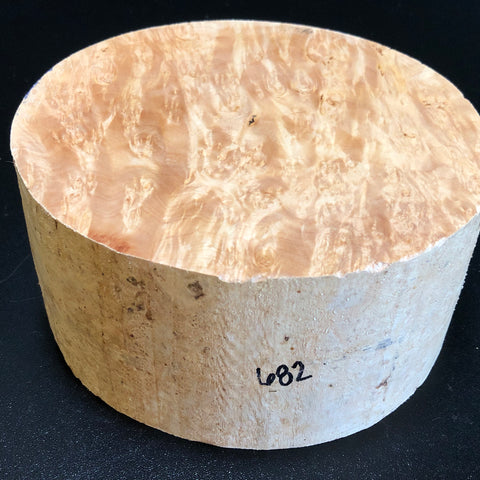 7x3.5 KD Maple Burl Wood Bowl Turning Blank (#00682)