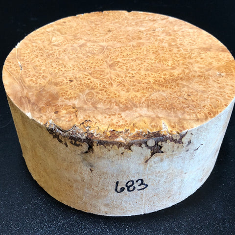 6"x3" KD Maple Burl Wood Bowl Turning Blank (#00683)