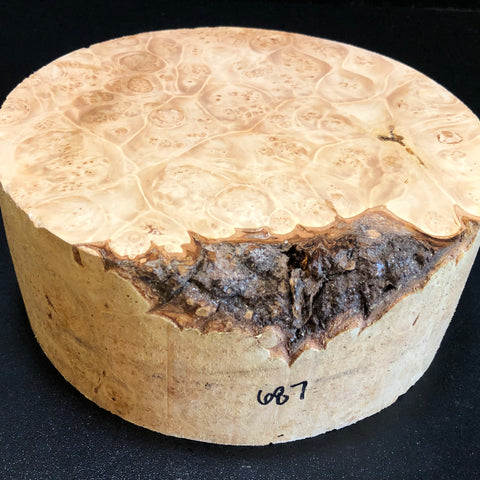 8x3.5 KD Maple Burl Wood Bowl Turning Blank (#00687)