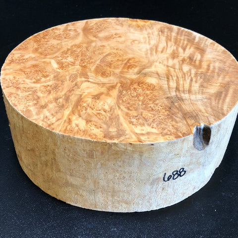 8x2.5 KD Maple Burl Wood Bowl Turning Blank (#00688)