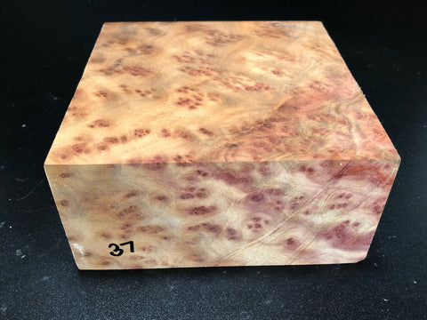 6.5x6.5x3 Camphor Burl Wood Turning Blank (#0037)