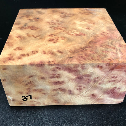 6.5x6.5x3 Camphor Burl Wood Turning Blank (#0037)