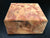 6.5x6.5x3 Camphor Burl Wood Turning Blank (#0037)