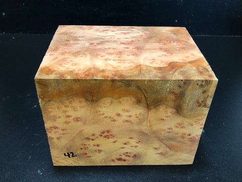 5.5x5.5x7 Camphor Burl Wood Turning Spindle Blank (#0042)