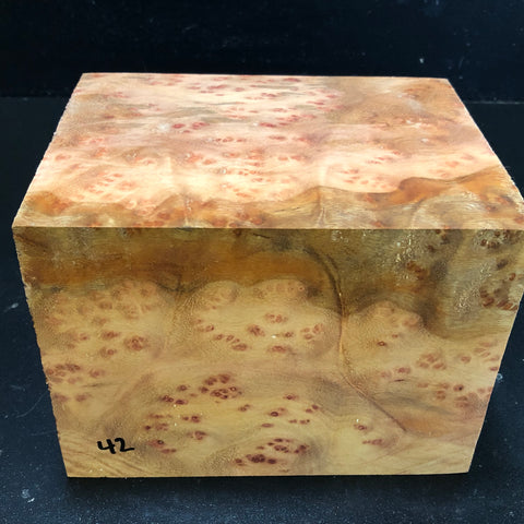 5.5x5.5x7 Camphor Burl Wood Turning Spindle Blank (#0042)