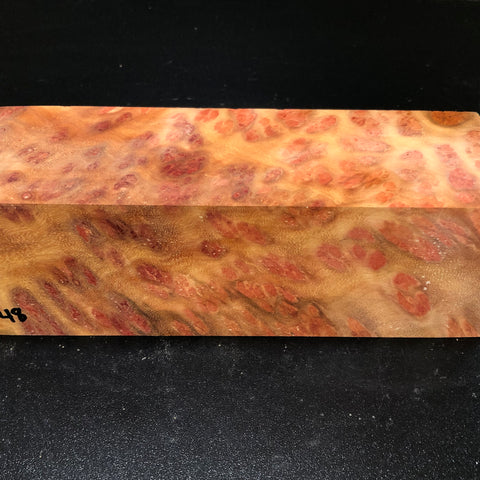 3"x3"x8.5" Camphor Burl Wood Turning Spindle Blank (#0048)