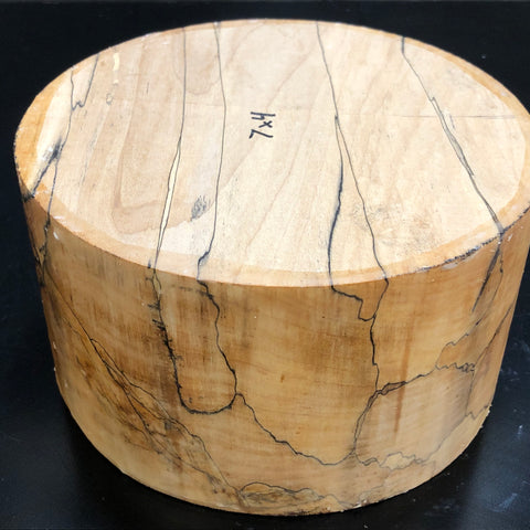 7"x4" KD Spalted Hard Maple Wood Bowl Turning Blank (#00113)