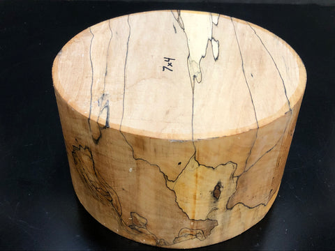 7"x4" KD Spalted Hard Maple Wood Bowl Turning Blank (#00114)
