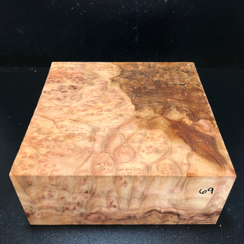 10.5"x10.5"x4.5" Camphor Burl Wood Turning Blank (#0069)