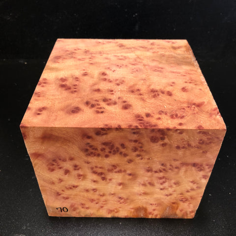 7"x7"x6" Camphor Burl Wood Turning Blank (#0070)