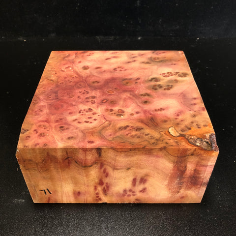 7.5"x7.5"x3.5" Camphor Burl Wood Turning Blank (#0071)