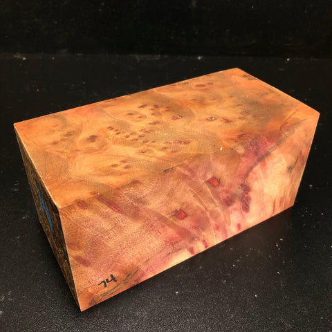 3.75"x3.75"x7.5" Camphor Burl Wood Turning Spindle Blank (#0074)