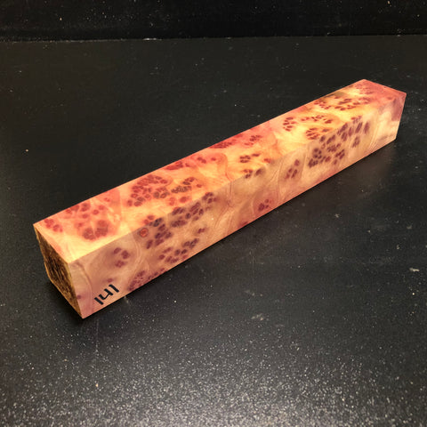 1.5"x1.5"x11" Camphor Burl Wood Turning Spindle Blank (#00141)