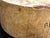8"x3" KD Maple Burl Wood Bowl Turning Blank (#00192)