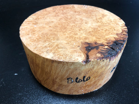7"x3" KD Maple Burl Wood Bowl Turning Blank (#0066)