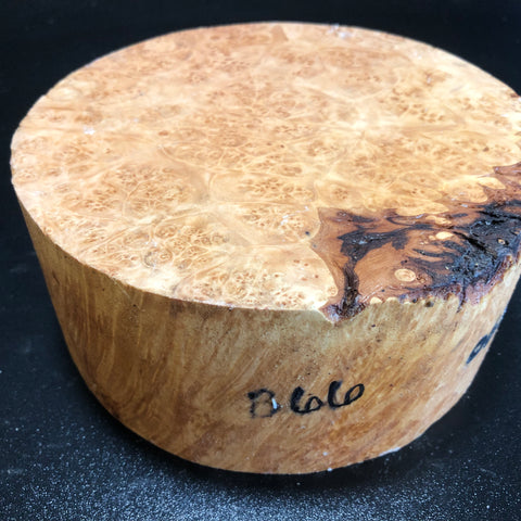 7"x3" KD Maple Burl Wood Bowl Turning Blank (#0066)
