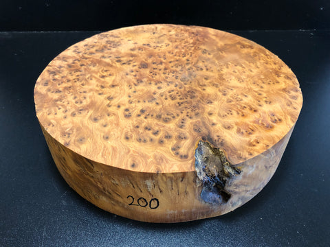 12"x3" Thuya Burl Wood Turning Blank (#00200)