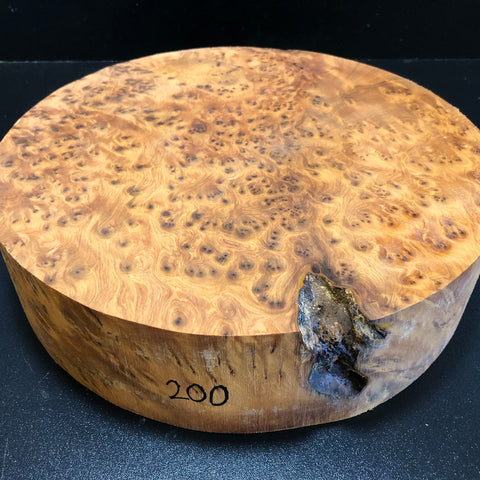 12"x3" Thuya Burl Wood Turning Blank (#00200)