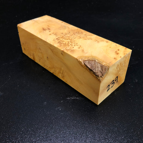 2"x2"x6" KD Yellow Cedar Burl Wood Turning Blank (#00239)