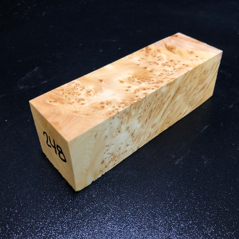 1.5"x1.5"x5" KD Yellow Cedar Burl Wood Turning Blank (#00248)