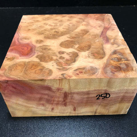 7.75"x7.5"x3.5" Camphor Burl Wood Turning Blank (#00250)
