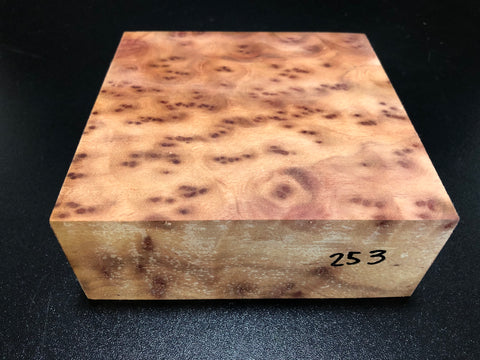 6"x6"x2.25" Camphor Burl Wood Turning Blank (#00253)