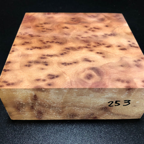 6"x6"x2.25" Camphor Burl Wood Turning Blank (#00253)