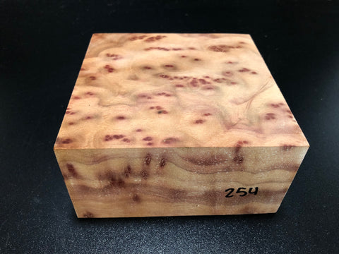 5.75"x5.75"x2.75" Camphor Burl Wood Turning Blank (#00254)