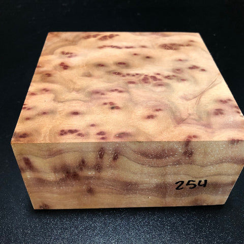 5.75"x5.75"x2.75" Camphor Burl Wood Turning Blank (#00254)