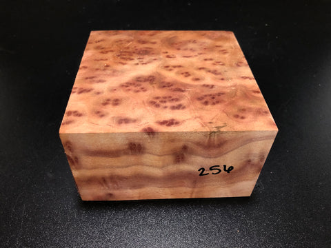 5"x5"x3" Camphor Burl Wood Turning Blank (#00256)