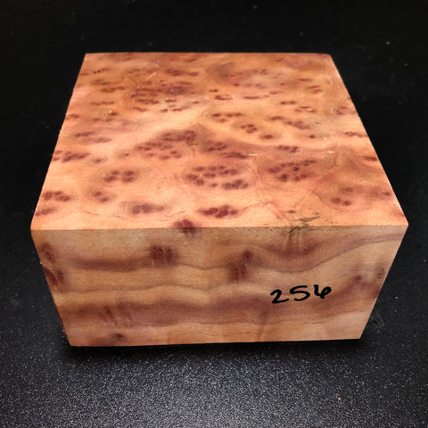 5"x5"x3" Camphor Burl Wood Turning Blank (#00256)