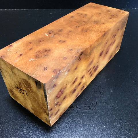 4"x4"x10" Camphor Burl Wood Turning Blank (#00257)