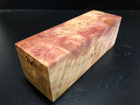 3"x3"x9" Camphor Burl Wood Turning Blank (#00260)