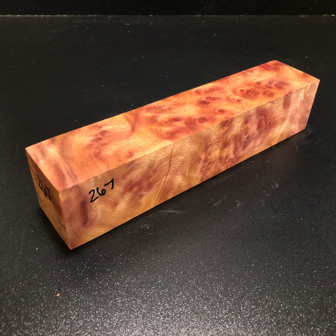 2"x2"x9.5" Camphor Burl Wood Turning Blank (#00267)