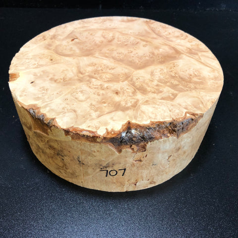 9"x3" KD Maple Burl Wood Bowl Turning Blank (#00707)