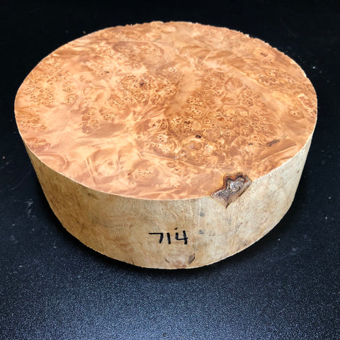 8"x3" KD Maple Burl Wood Bowl Turning Blank (#00714)