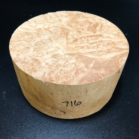 7x3.5 KD Maple Burl Wood Bowl Turning Blank (#00716)