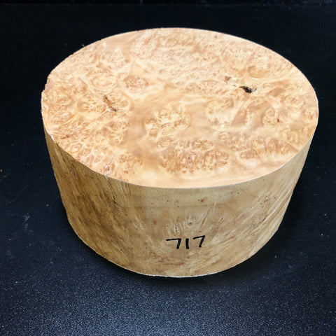 7x3.5 KD Maple Burl Wood Bowl Turning Blank (#00717)
