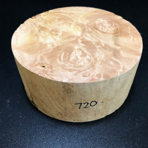 7x3.5 KD Maple Burl Wood Bowl Turning Blank (#00720)